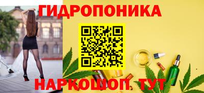 крисы Свободный