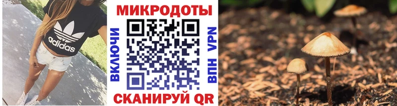 закладки  kraken зеркало  Псилоцибиновые грибы MAGIC MUSHROOMS  Череповец 