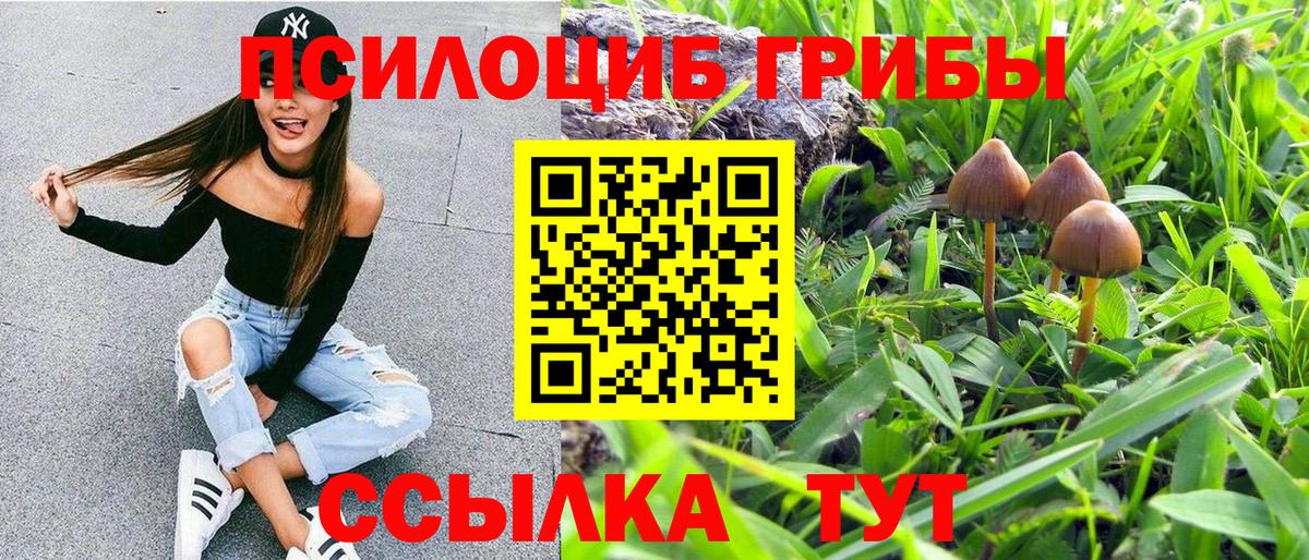 Псилоцибиновые грибы прущие грибы  Вход с VPN  Череповец 