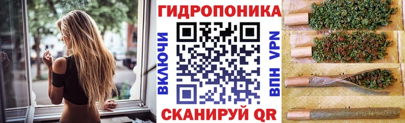 Каннабис OG Kush Череповец